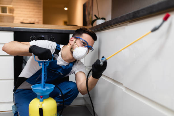 Best Pest Control Near Me  in Parklawn, CA