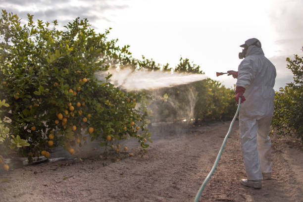 Trusted Parklawn, CA Pest Control Experts