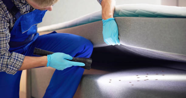 Best Mosquito Control Services  in Parklawn, CA