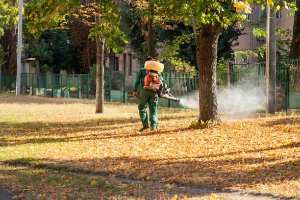 Best Best Pest Control Companies  in Parklawn, CA