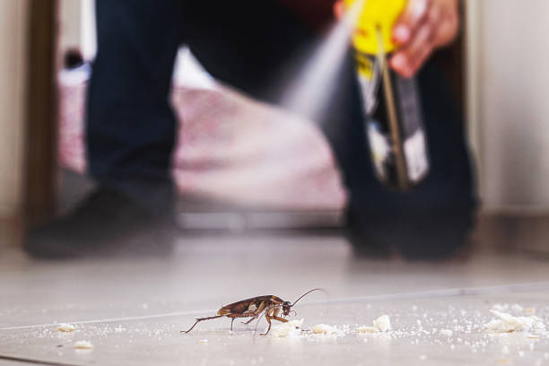 Best Exterminator Services  in Parklawn, CA