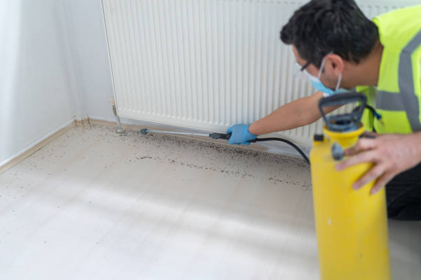 Best Termite Control Services  in Parklawn, CA