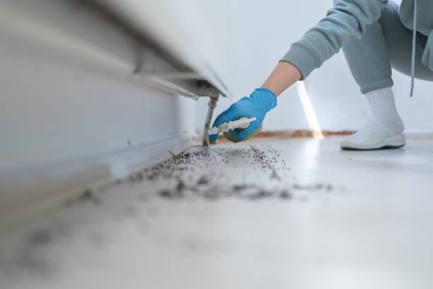 Best Pest Control Near Me in Parklawn, CA